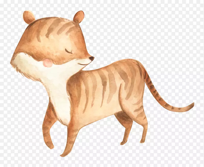 ��ͨ�ɰ�С����װ�ζ���ͷ��-������