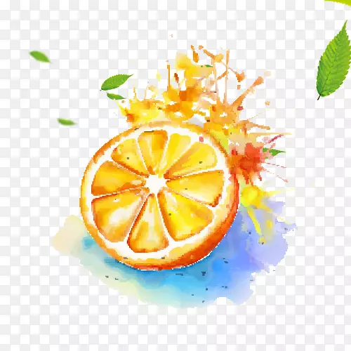 Ư���Ŀ�ͨ����ˮ��-������