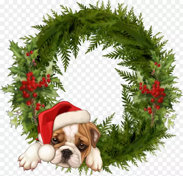 ��ɫʥ���ڻ���-������