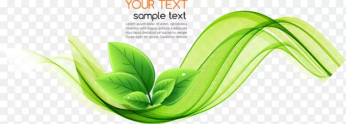 ����Ʈ��ʸ��ͼ-������