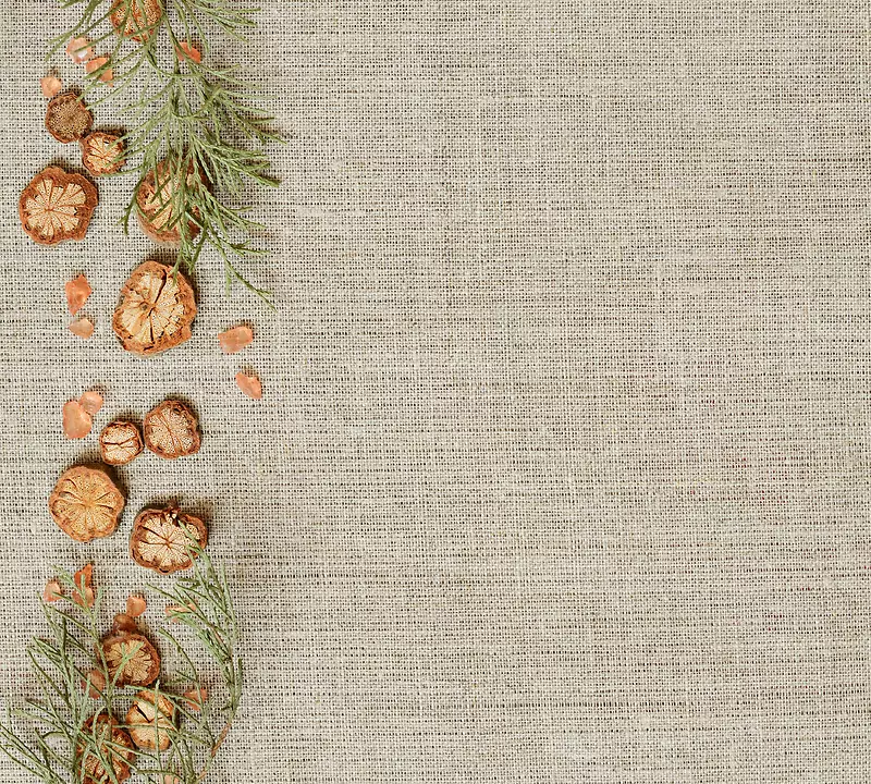 �����벼�Ʊ���-������