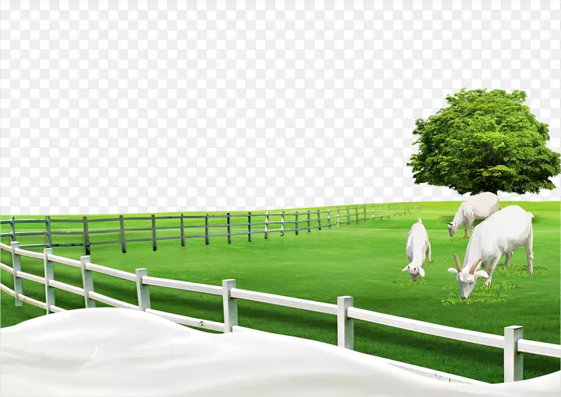 ��Ȧ-������