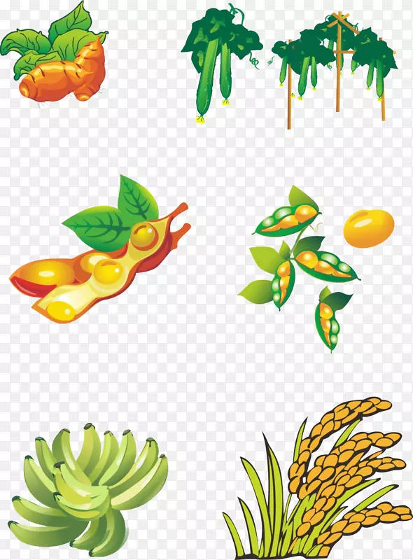 �߲�-������