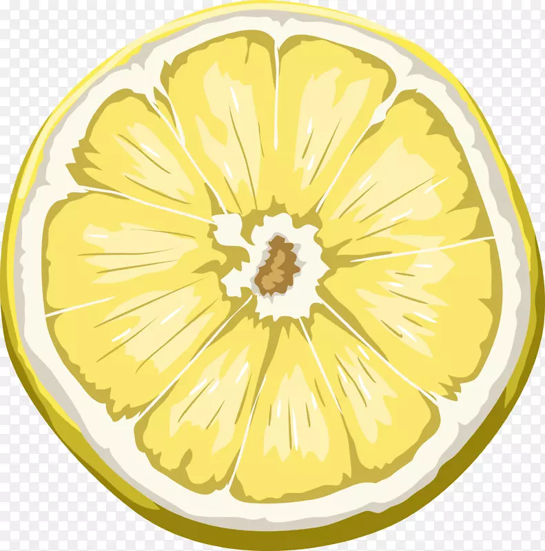 �п�������Ƭʸ��ͼ-������