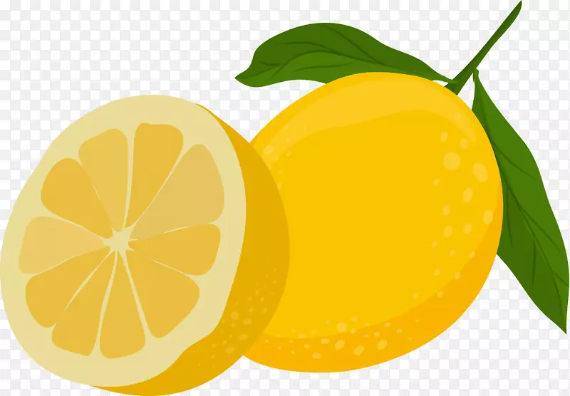 ���ʵ�����ʸ��ͼ-������