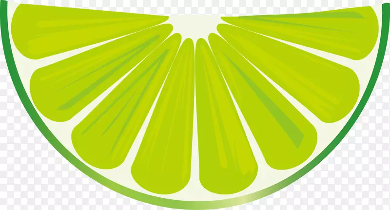 ������Ƭʸ���ز�ͼ-������