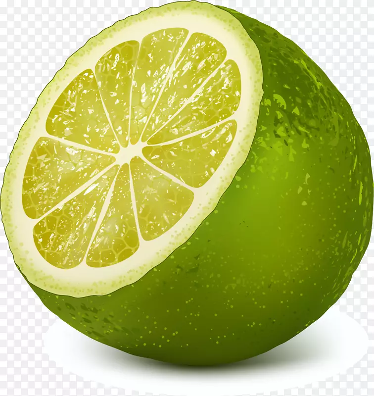 �п����������ز�ͼ-������