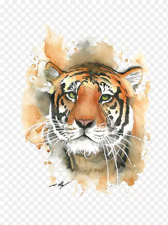 ɭ��֮��-������