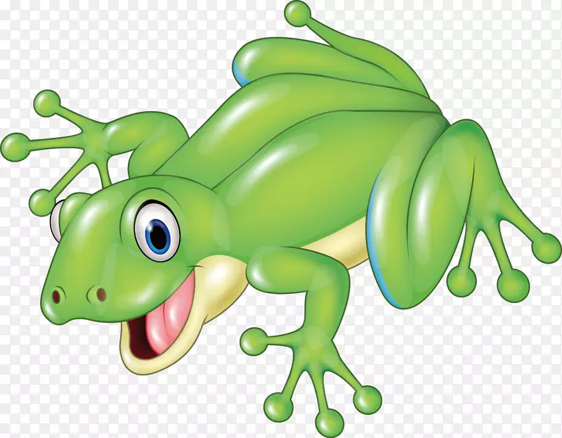 ����װ���ֻ�ʸ��-������