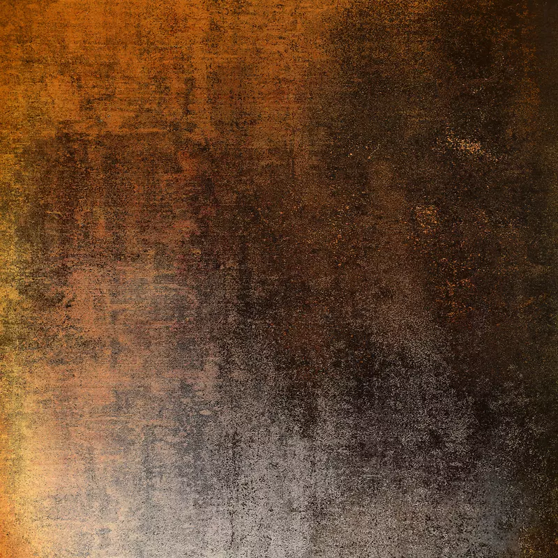 �����⼣����-������