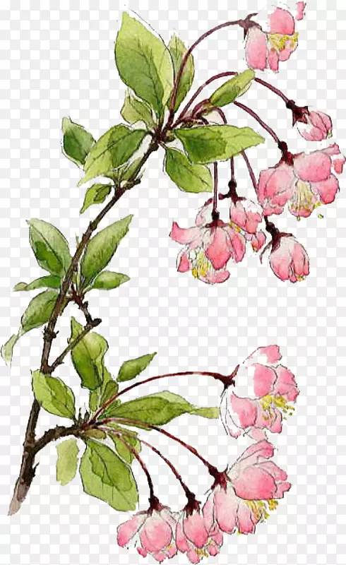 ����ӣ��ˮī��-������