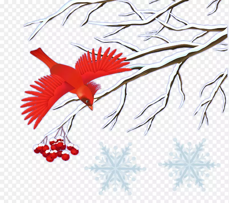 ���嶬����֦ѩ��װ��-������