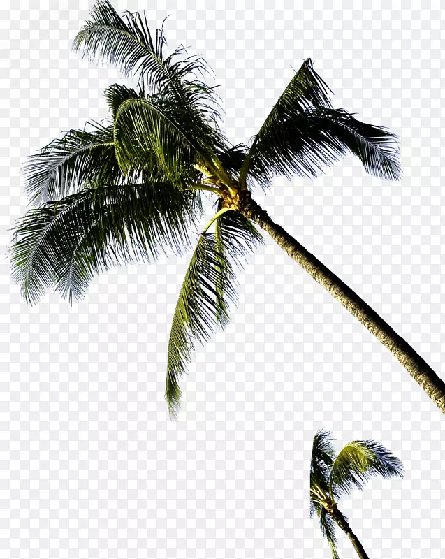 ��-������