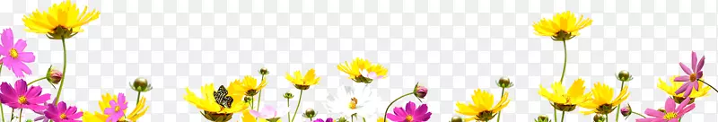 �����ز�-������