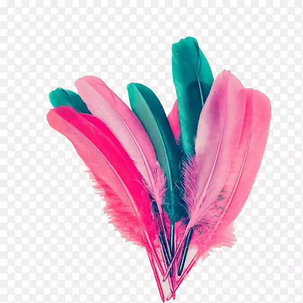 ��ɫ ��ë-������