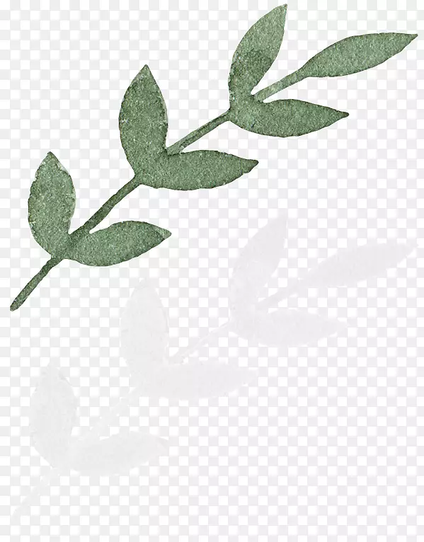 ˮ����Ҷ�廭�ز�-������