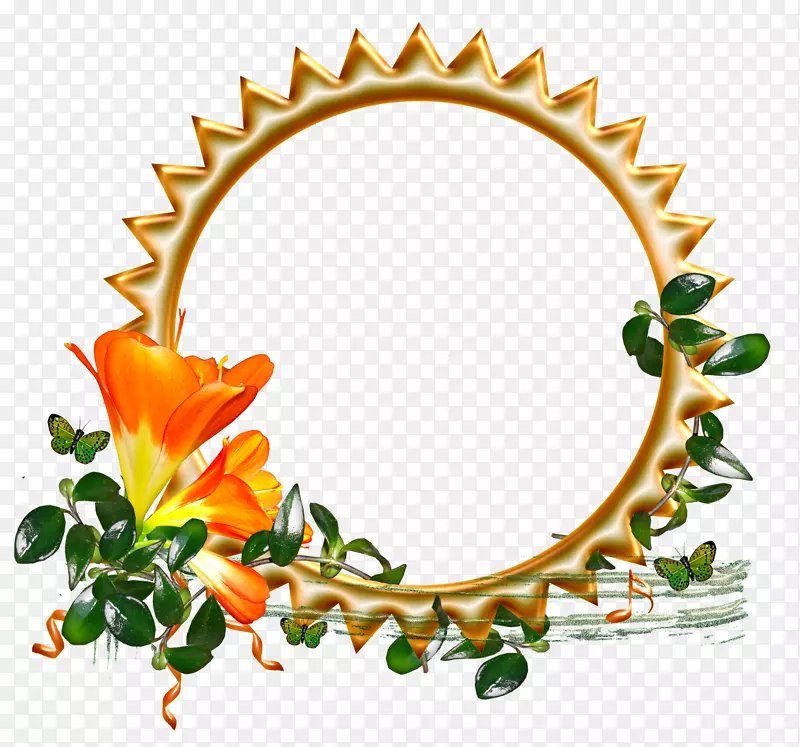 �ֻ��زı߿�ͼ�� ��ɫԲ���߿�-������