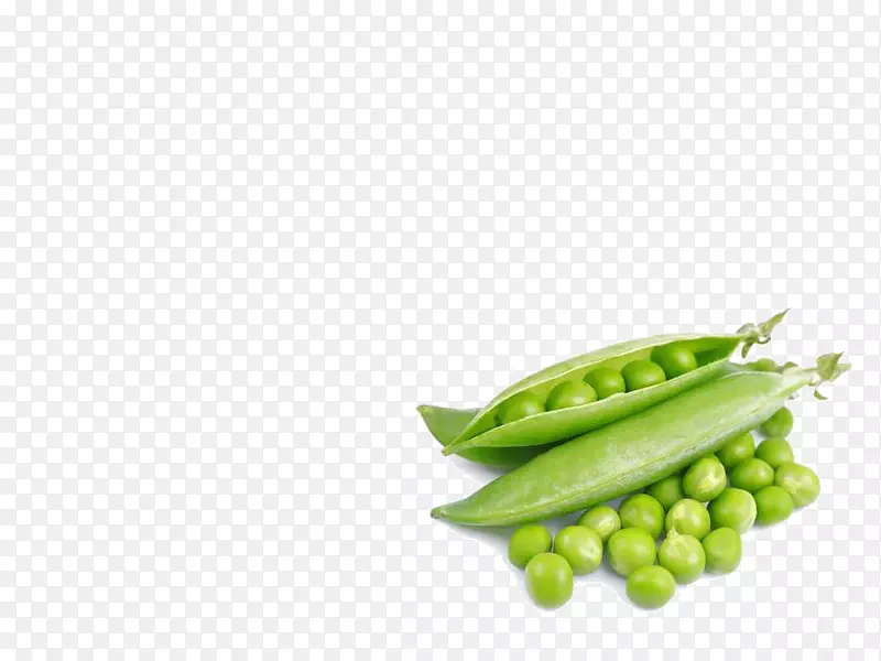 �߲�PPTԪ��-������