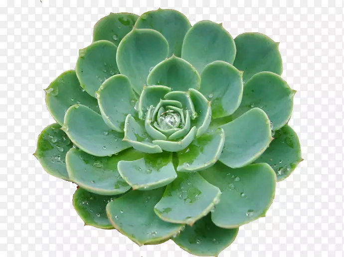 �����png���-������