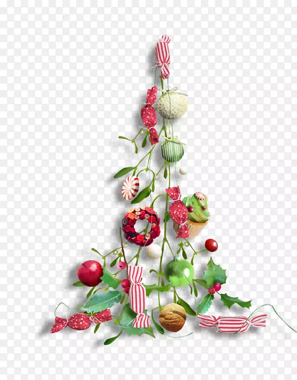 �ǹ�װ����֦-������