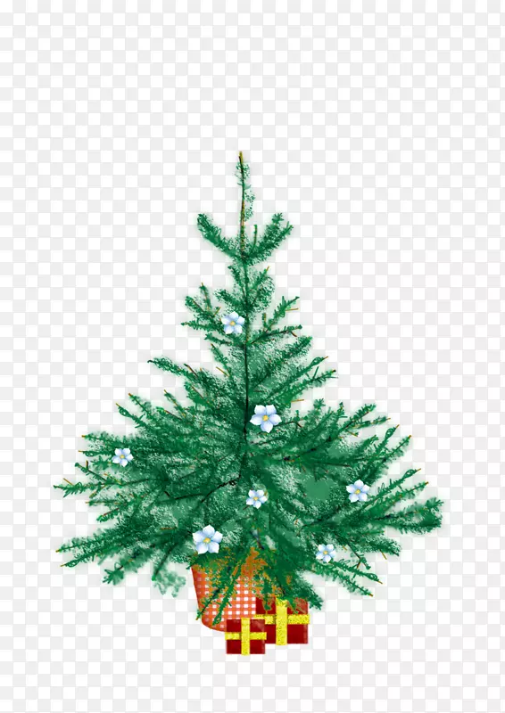 ʥ����ʥ���������ز�-������