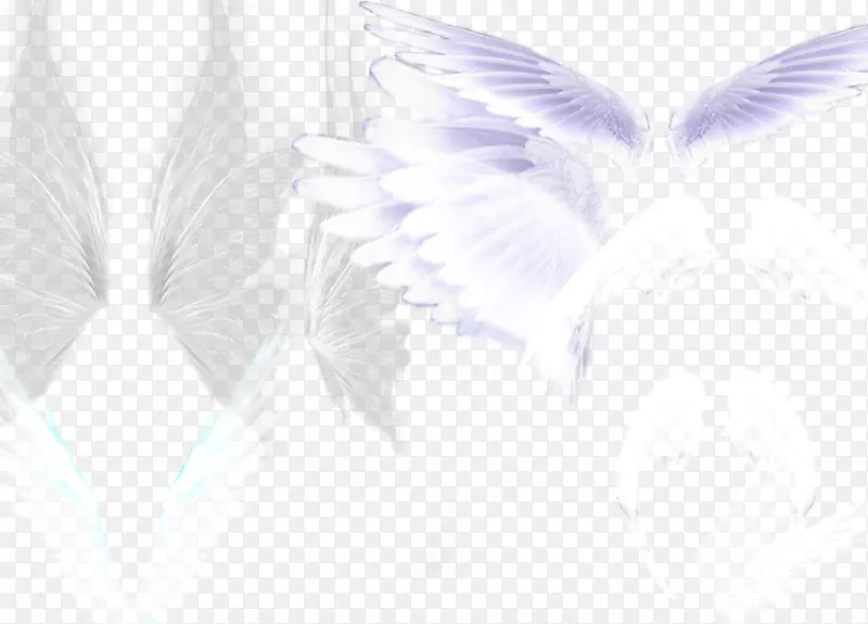 ��ɫ��ë���-������