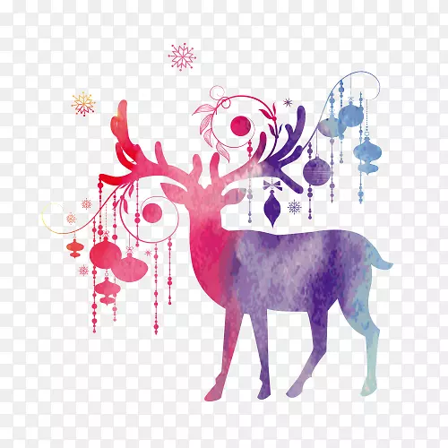 ʥ�����ز�-������