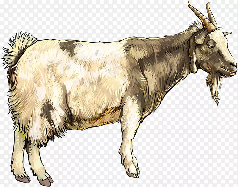 �ɰ���Сɽ��-������