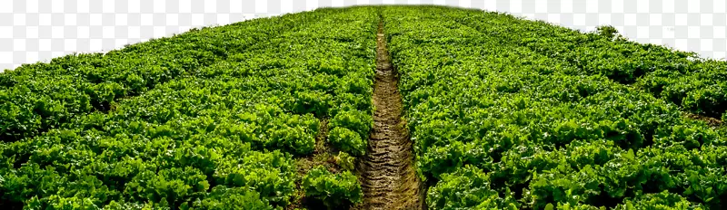 �߲����Ҵ����԰-������