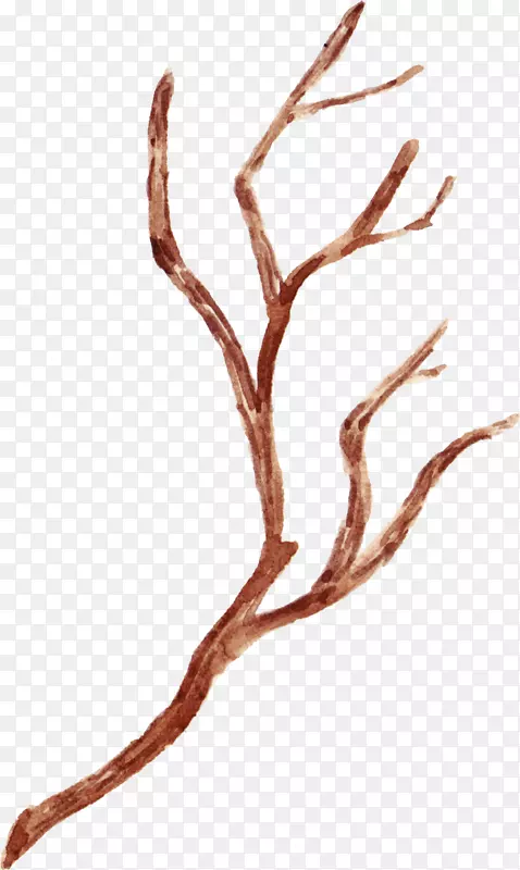 ��ͨ�ֻ���֦����ز�ͼ-������