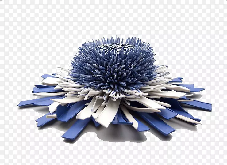 ���⻨��չ��-������