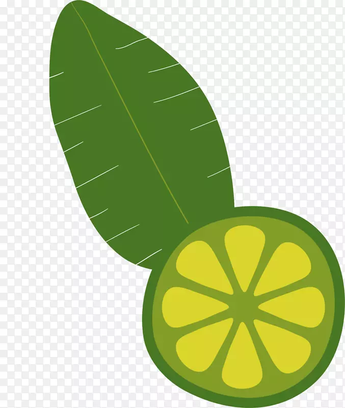 �ļ�ˮ����ɫ���-������