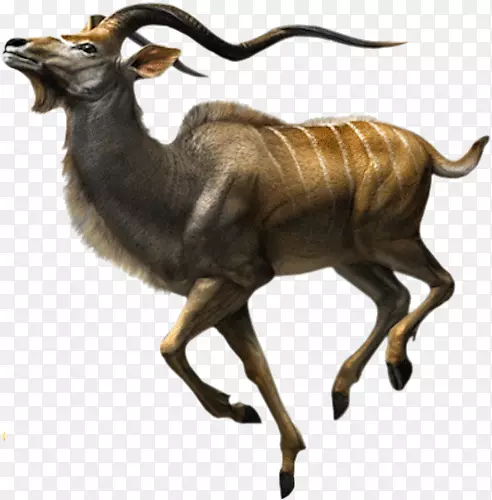 ���ܰ�ͷ���Ƕ���-������