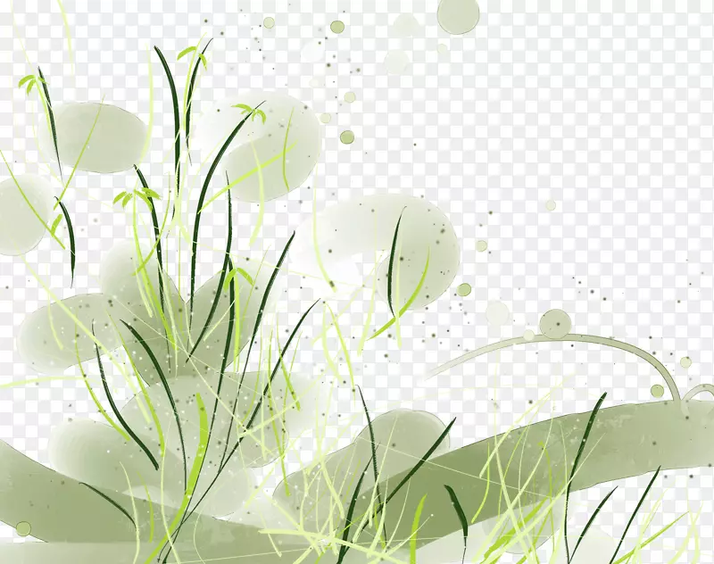 �����ز�-������