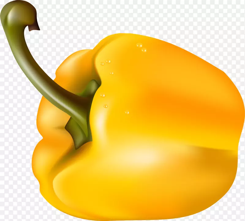 ��ͨ�ֻ��߲�װ�κ������-������