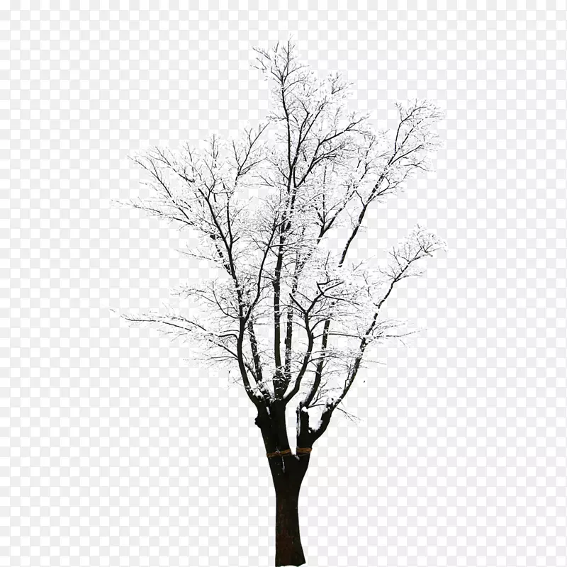 �������-������