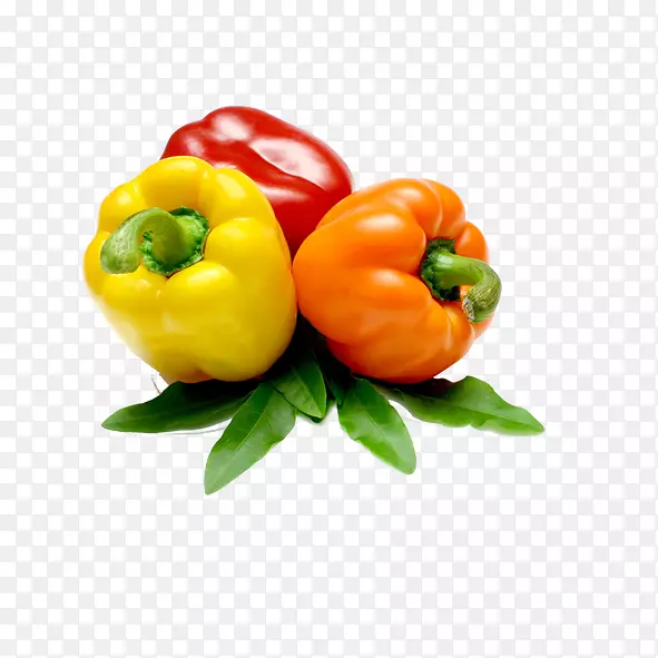 ��ɫ��-������