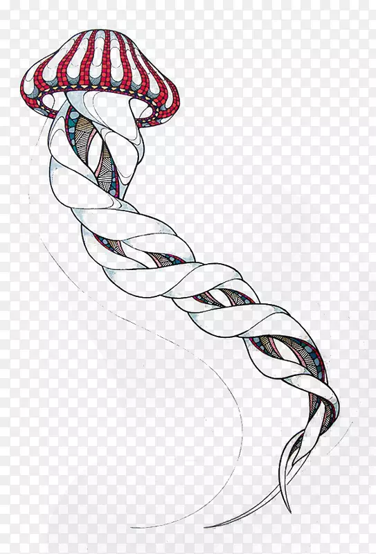 �ֻ�ī��-������