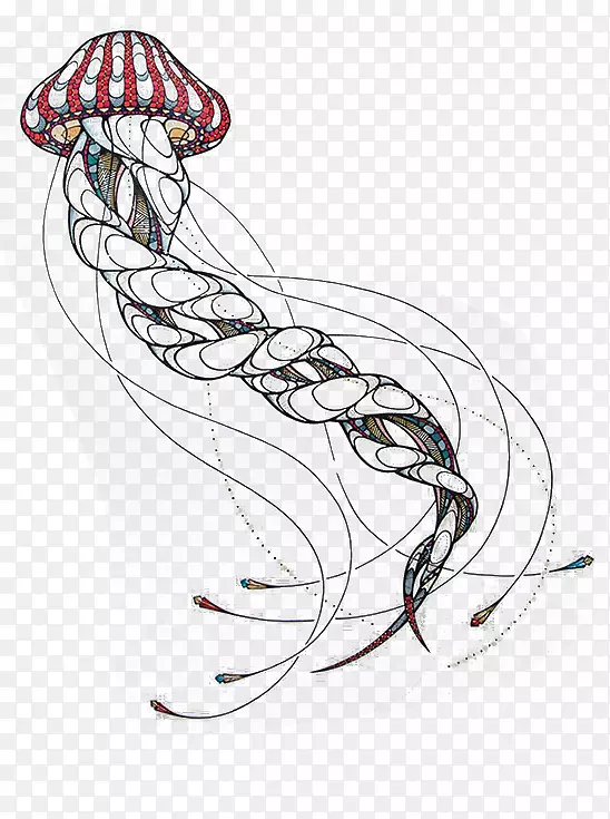 �ֻ�ī��-������