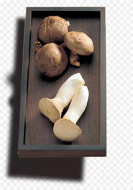 ����ľ���㹽�ز�-������