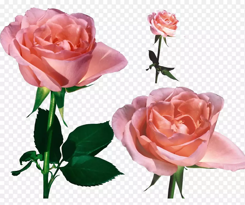 õ���ز�-������