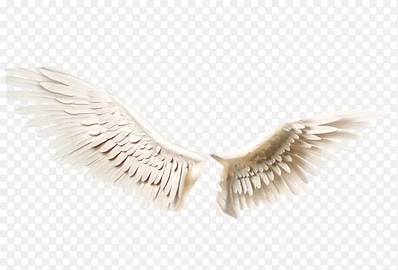 ���ͼƬ-������