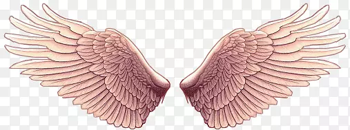 ���-������