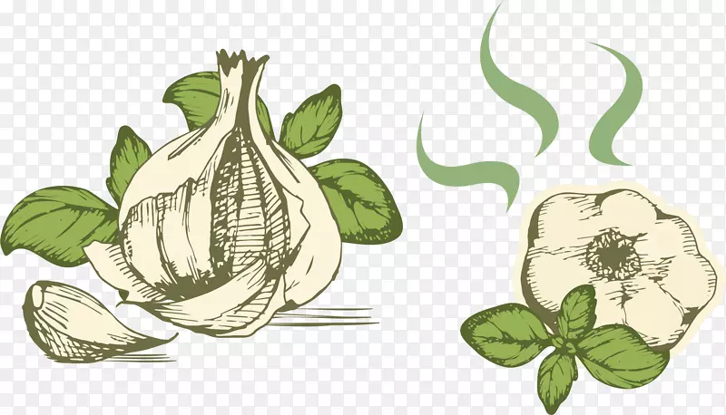 �߲˲ʻ�-������