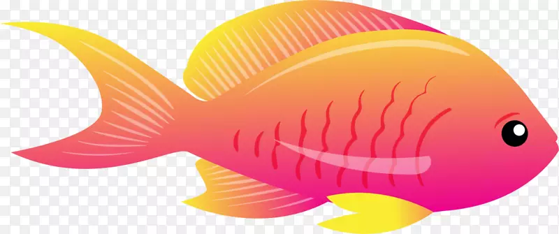 �������･����С��-������