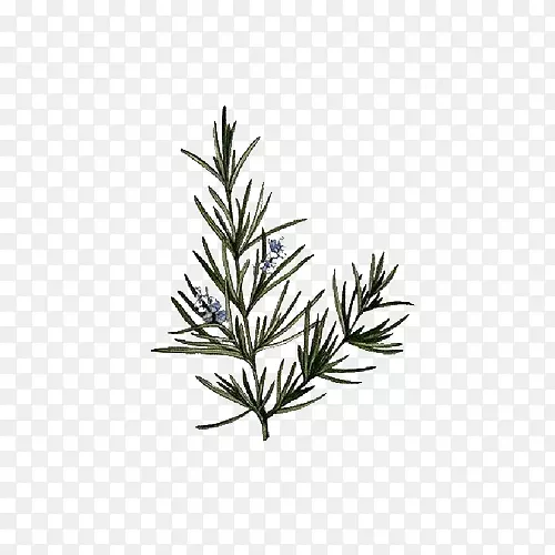 �ֻ渴�ſ������Ե������ϲ廭��-������