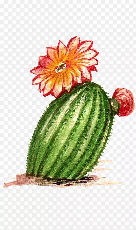 �����￪����������-������