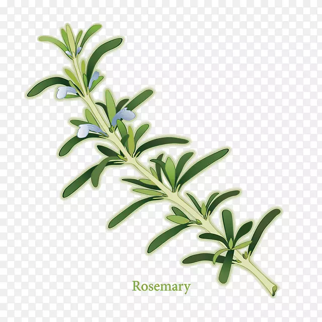 �ֻ�������ɫ�������Ե���廭��-������