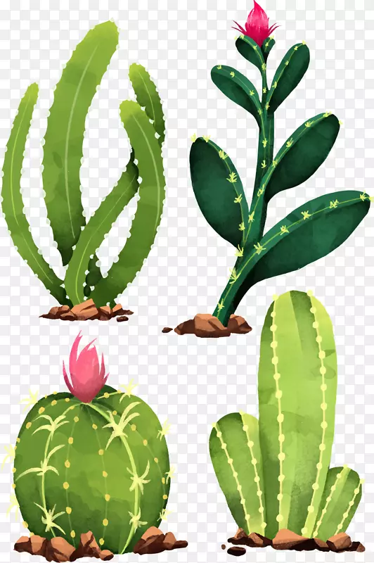 ʸ���ֻ�ˮ��������-������