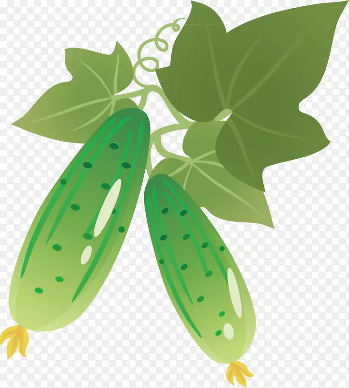 �߲�����-������